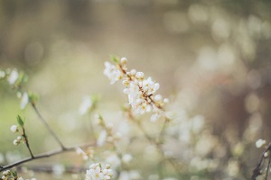 动土吉日-动土吉日查询-动土吉日测算